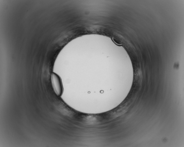 X0000101390566200808041019