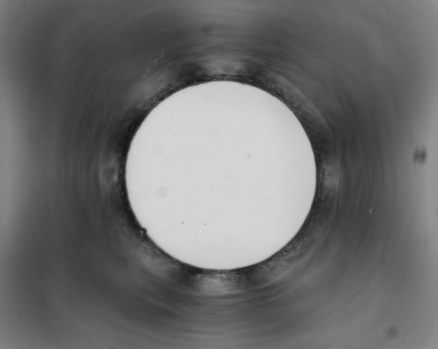 X0000101390567200808041019