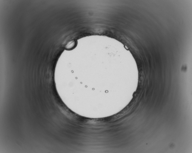 X0000101390568200808041019