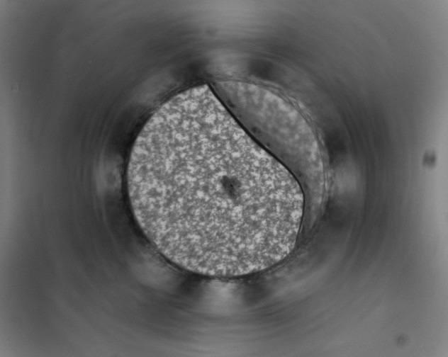 X0000101390570200808041019