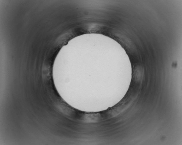 X0000101390571200808041019