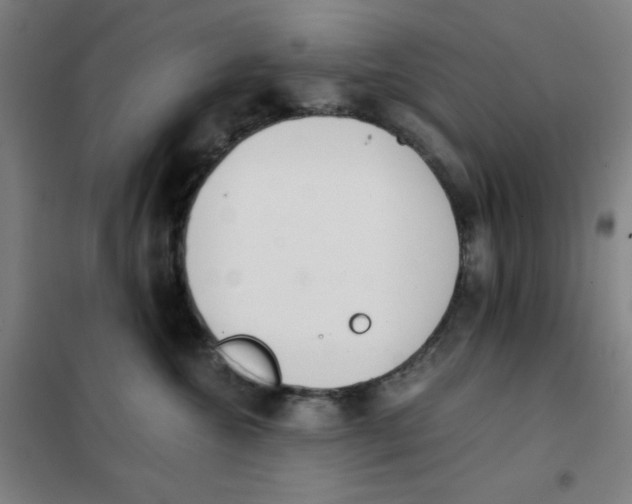 X0000101390572200808041019
