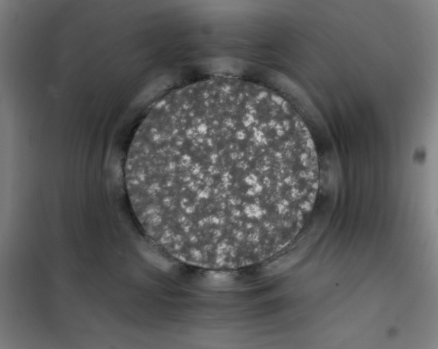 X0000101390573200808041019