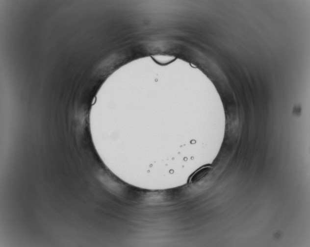 X0000101390574200808041019
