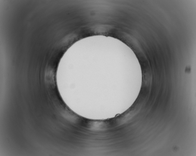 X0000101390575200808041020