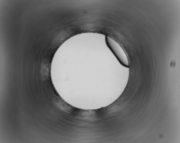 X0000101390576200808041020