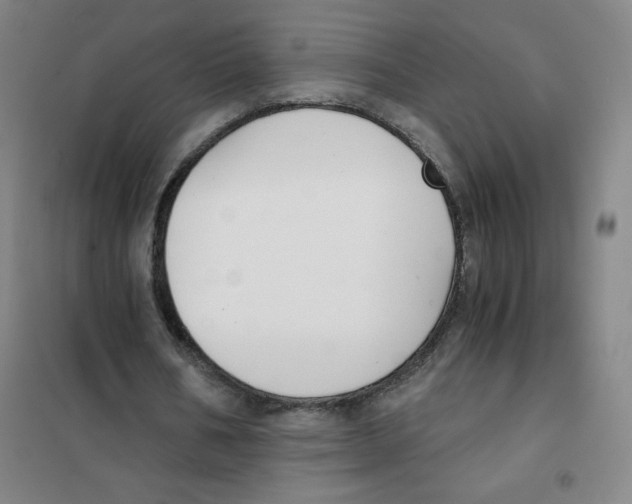 X0000101390578200808041019