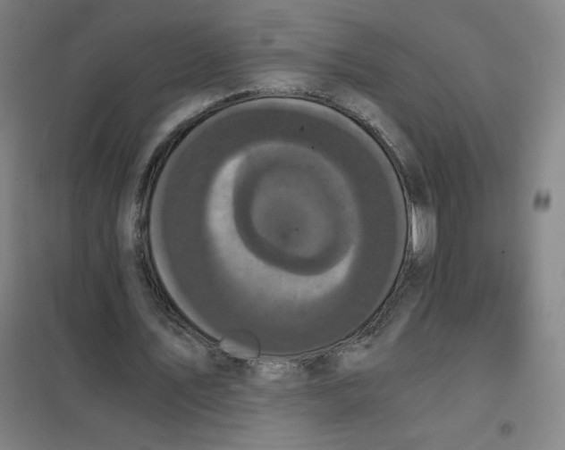 X0000101390579200808041019