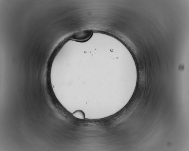 X0000101390580200808041019
