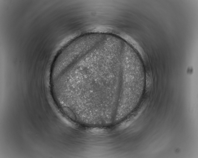 X0000101390581200808041019