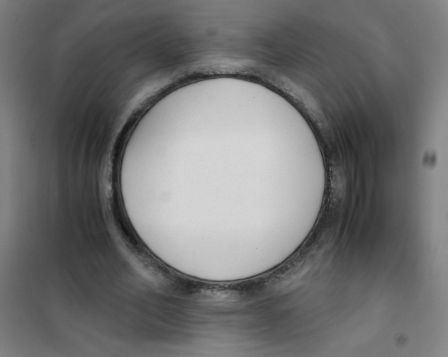 X0000101390582200808041019