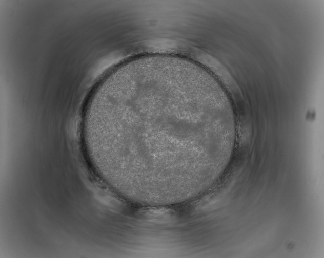 X0000101390583200808041019