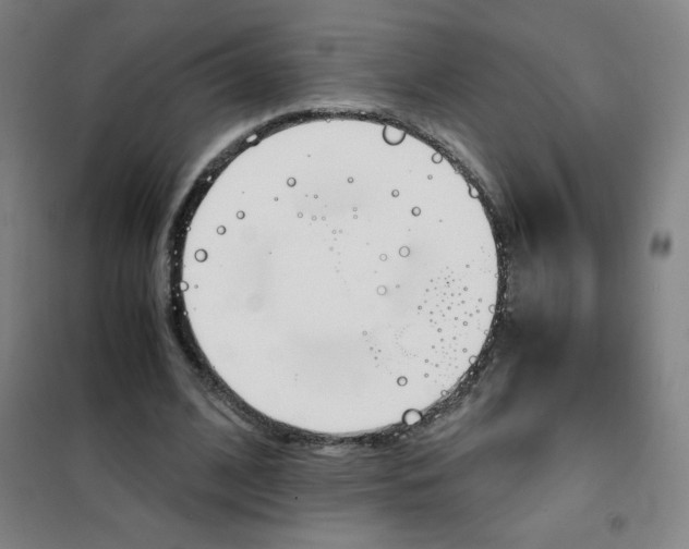 X0000101390584200808041019