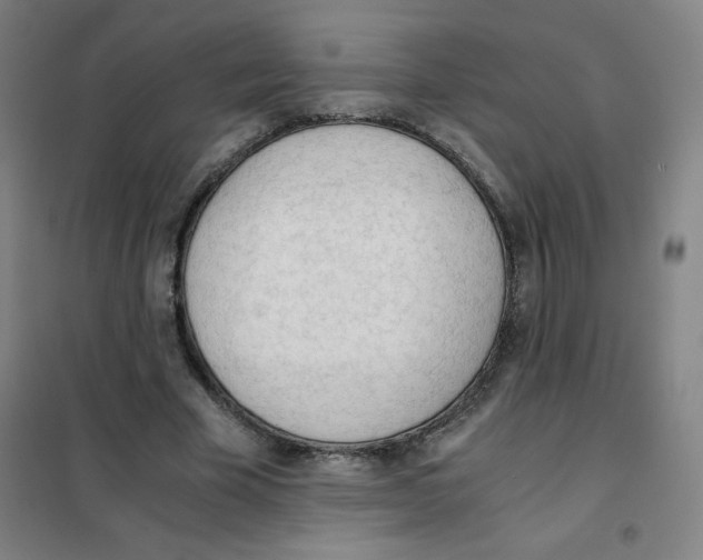 X0000101390585200808041019
