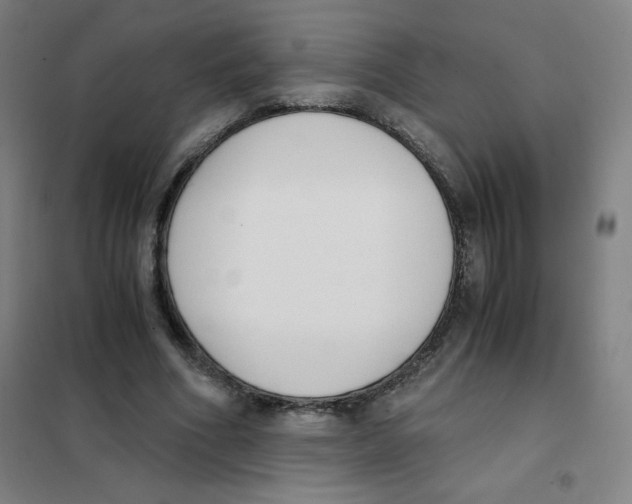 X0000101390586200808041019