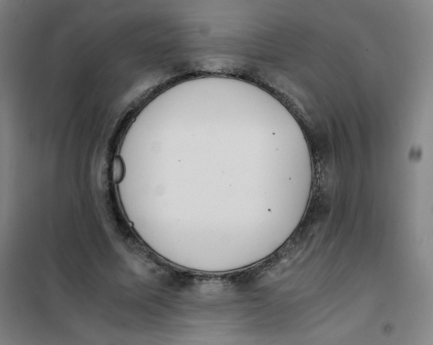 X0000101390587200808041019
