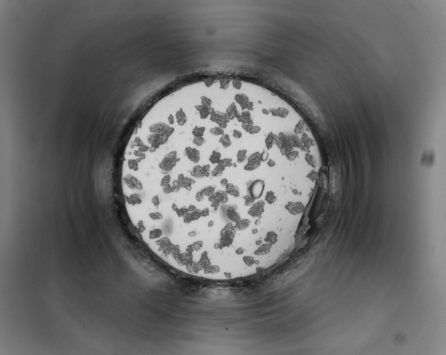 X0000101390588200808041019