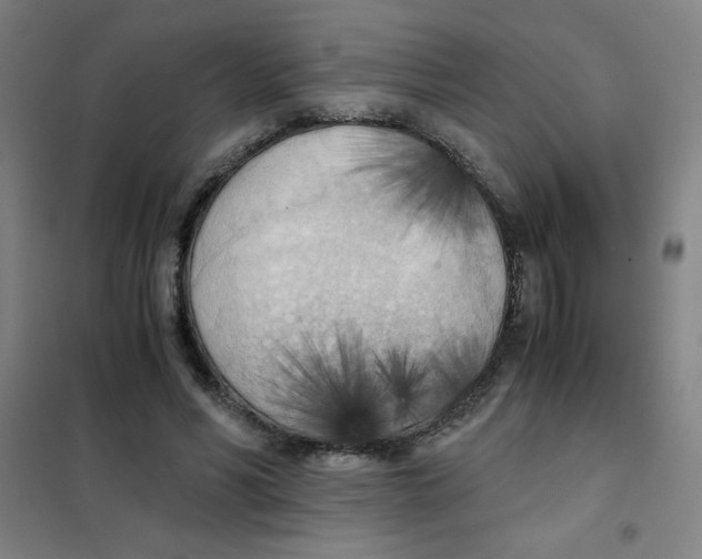 X0000101390590200808041019