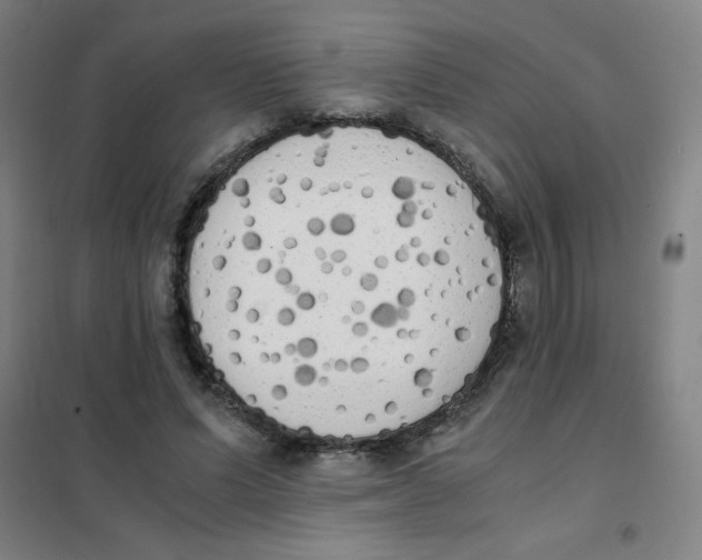 X0000101390591200808041018