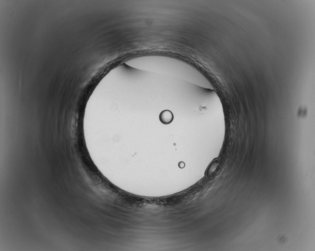 X0000101390592200808041018