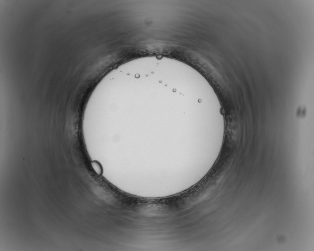 X0000101390593200808041018