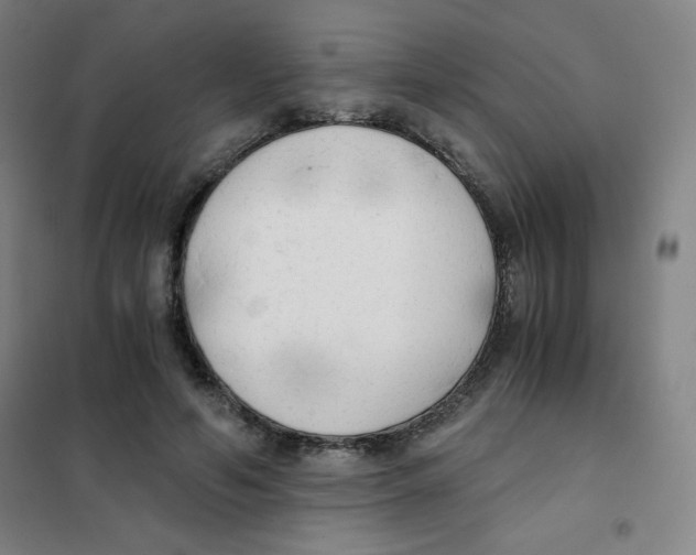 X0000101390594200808041018