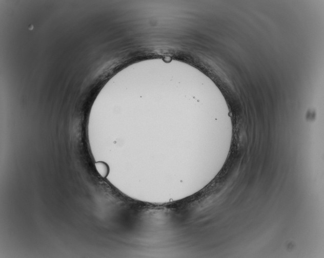 X0000101390595200808041018