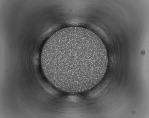 X0000101390596200808041018