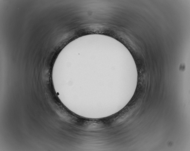 X0000101390597200808041018