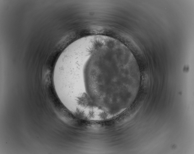 X0000101390598200808041018