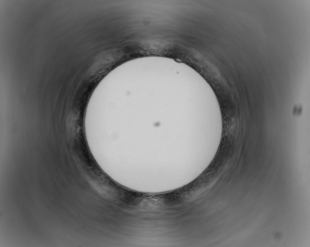 X0000101390599200808041018