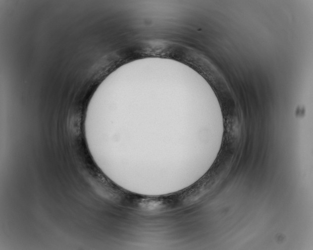 X0000101390602200808041018