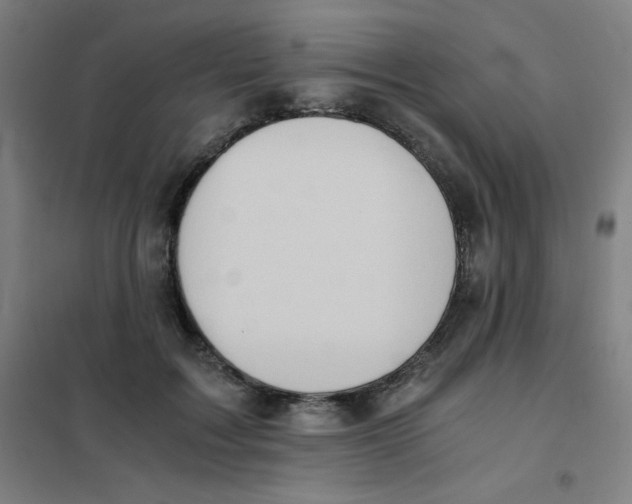 X0000101390603200808041018