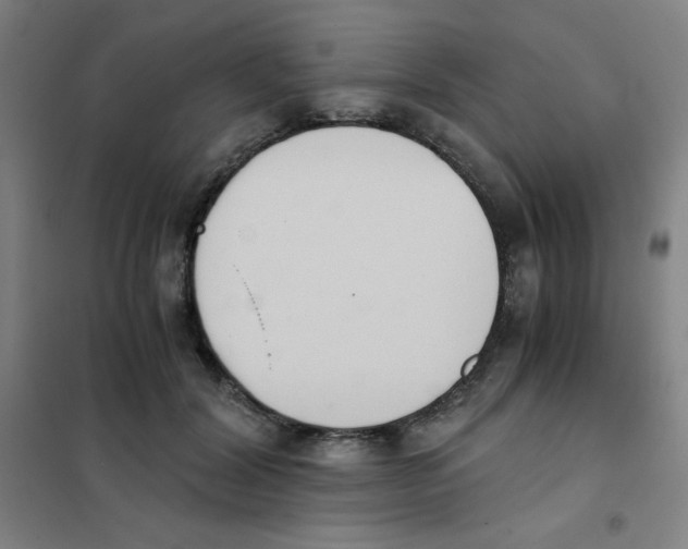 X0000101390604200808041018