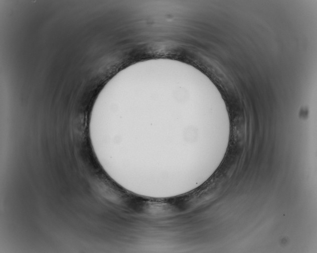 X0000101390605200808041018