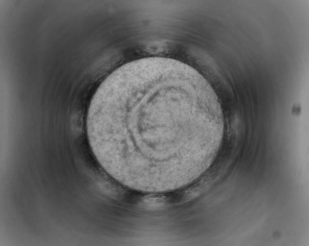 X0000101390606200808041018