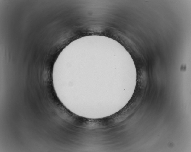 X0000101390608200808041018