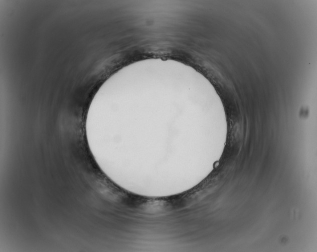 X0000101390609200808041018