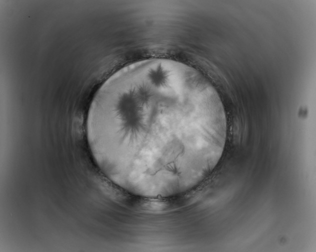 X0000101390610200808041018