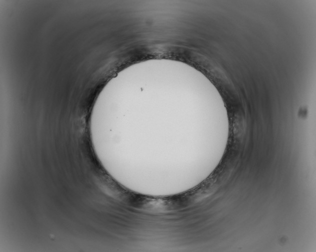 X0000101390611200808041018