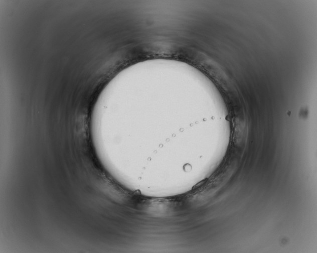 X0000101390612200808041018