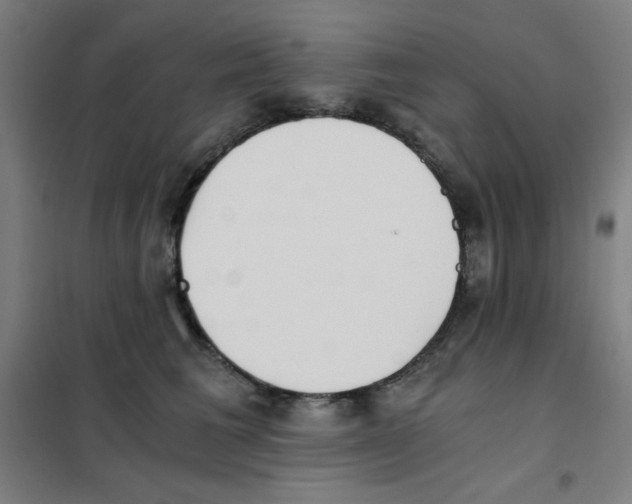 X0000101390613200808041018