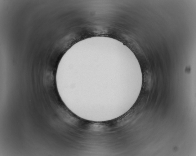 X0000101390614200808041018