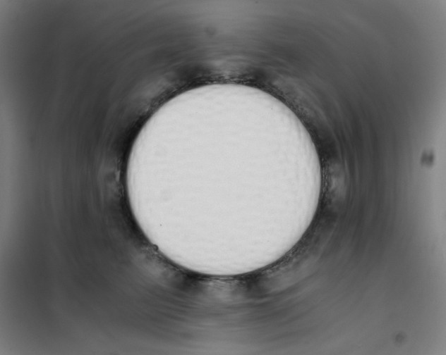 X0000101390615200808041018