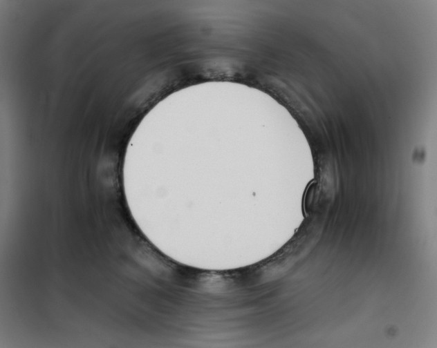 X0000101390616200808041018