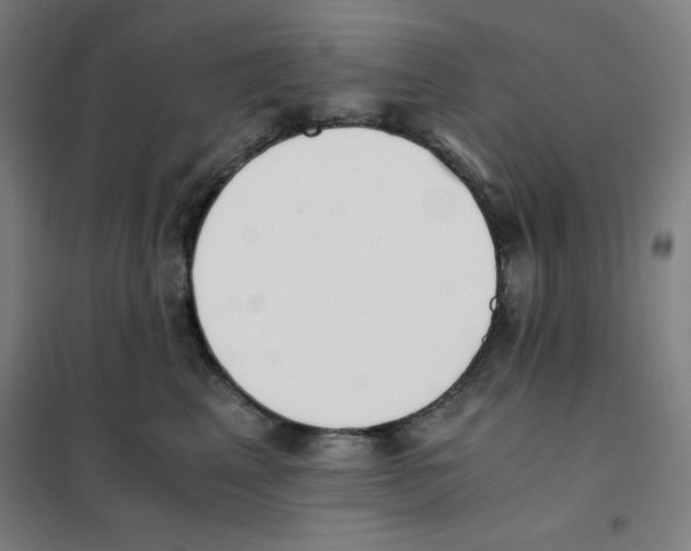 X0000101390617200808041018