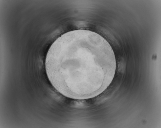X0000101390618200808041018
