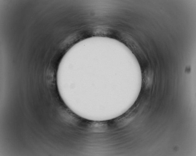 X0000101390619200808041018
