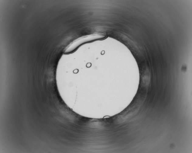 X0000101390620200808041018