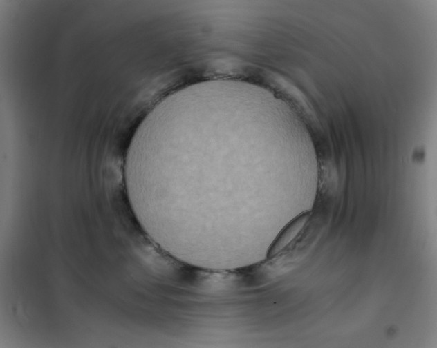 X0000101390621200808041018